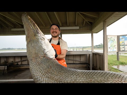 This Dinosaur Broke My Knife