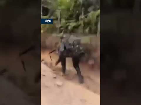 Así habría huido alias ‘Chala’ de los combates en Briceño; al parecer estaba herido