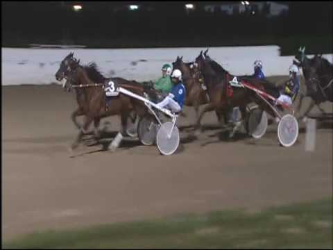 Trotto 23/12/2016 - 7ª corsa