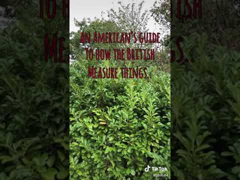 Americans guide to the UK