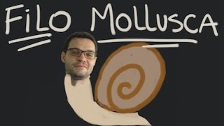 Filo Mollusca (moluscos, mais biologia) parte1