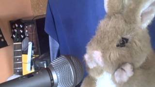 MOMENTS - TOYS PARTY (lluitant)