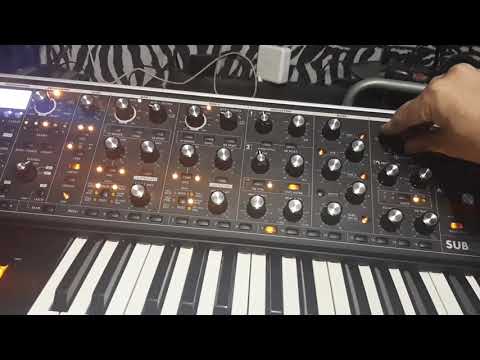 trick tutorial melodic ethereal techno afterlife,tale of us,mathame,bodzin, colyn whit moog sub37
