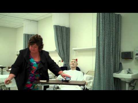 Temperature, Pulse, Respirations