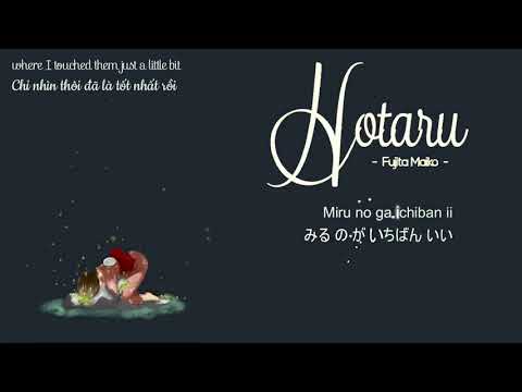 Hotaru   Fujita Maiko Vietsub」