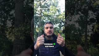 Cães Isolados são Frágeis  Treine o Imune do Seu Pet!