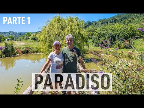 FATTORIA dell'AUTOSUFFICIENZA: biopiscina, gestione dell'acqua e permacultura