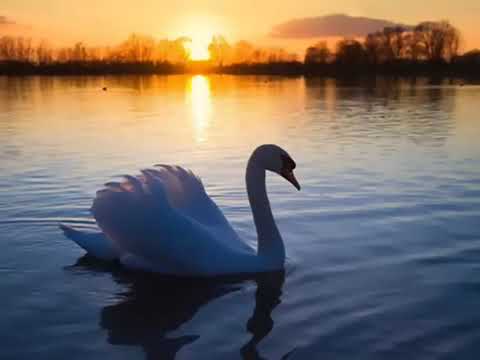 GIOVANNI MARRADI SELECTION