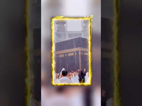 Qalbi fil Madina 🫀#allah