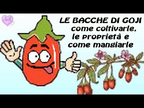 Lardo e aglio per la potenza Oltre ad aumentare i prodotti di potenza