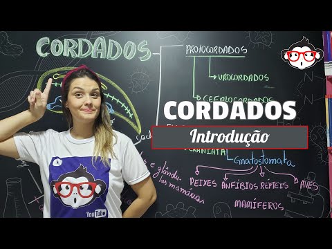 Cordados | Introdução 🐵📚