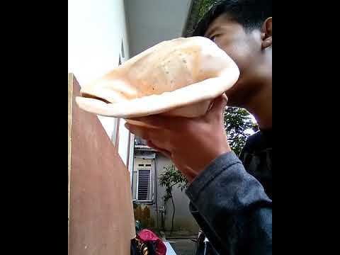 download lagu mp3 mp4 Alat Musik Tradisional Fu, download lagu Alat Musik Tradisional Fu gratis, unduh video klip Alat Musik Tradisional Fu