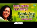 Bangla Amar Sorshe Ilish | Hari Hey Dinabandhu | Lopamudra Mitra | Audio