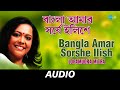 Bangla Amar Sorshe Ilish Hari Hey Dinabandhu Lopamudra Mitra Audio