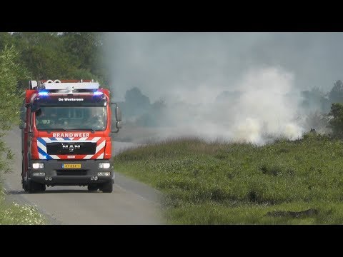 [24.05.2018] Brand in bossage door brandweer uitgemept Miedloane De Westereen
