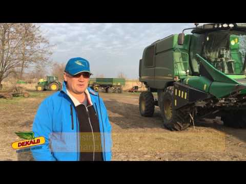 Testimonial DKC 5031 - Nagy Tiberiu