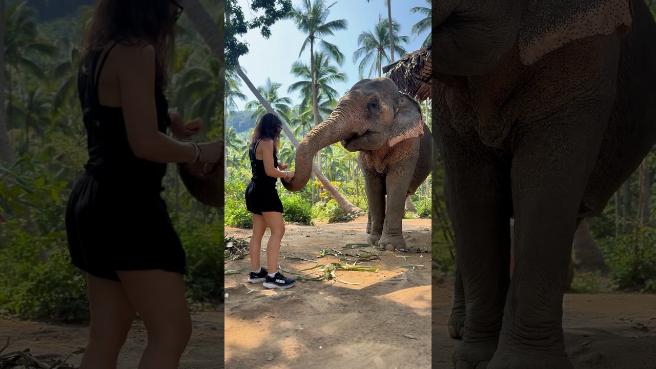 YouTube Short thumbnail