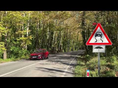 Bartın'da 9 kilometrelik ağaç tüneli, doğası ve manzarasıyla ilgi görüyor