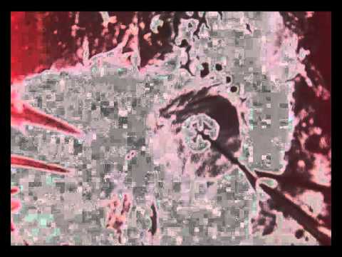 AIR FRANTZ NO-TEK 17 EP TRAILER