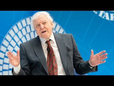 Sir David Attenborough on Success Stories in Conservation