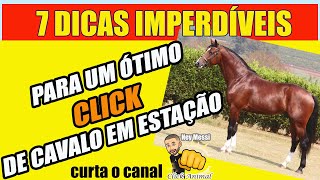 7 DICAS IMPERDÍVEIS PARA UM ÓTIMO CLICK DE CAVALO EM ESTAÇÃO. No FIM: DICA BONUS #DICASDEFOTOGRAFIA