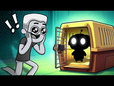 SNAD Finally Gets a Pet