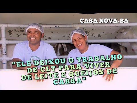 CASAL VIVE DE LEITE DE CABRA EM CASA NOVA NA BAHIA #caprino #ovinocultura #sertanejo