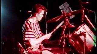 RatCat LIVE Baby Baby Rat Cat