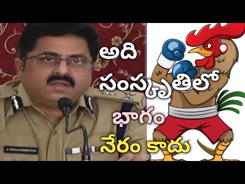 #Culture: కోడిపందాలను నేరంగా గుర్తించడం తప్పు - J. Purnachander Rao, Ttd. DGP @SatyaTalks-Channel 