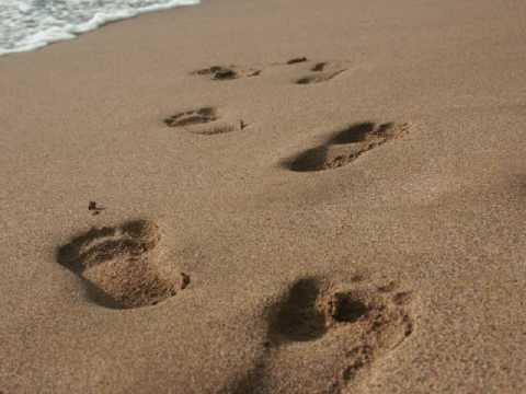 Evelyn Amo -  Step by step (Lyrics in Description)