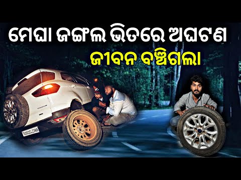 ମେଘା ଜଙ୍ଗଲ ଭିତରେ ଅଘଟଣ #998