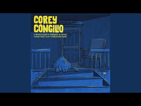 I Wouldn't Treat A Dog (The Way You Treated Me)