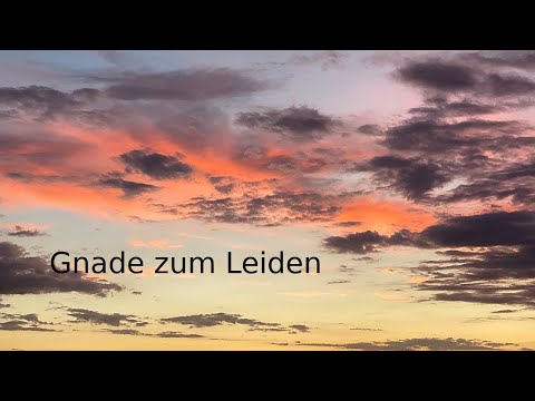 Videovorschau