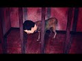 ALIRAN SESAT YANG TERKENA AZAB DAN DIKUTUK MENJADI ANJING Night People