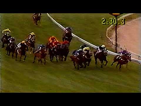1991 MVRC MOONEE VALLEY Gold Cup