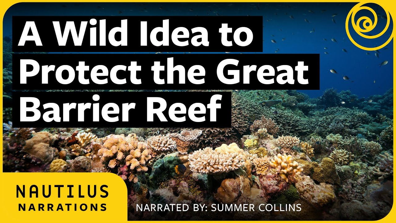 A Wild Idea to Protect the Great Barrier Reef | Nautilus Narrations with Summer Collins