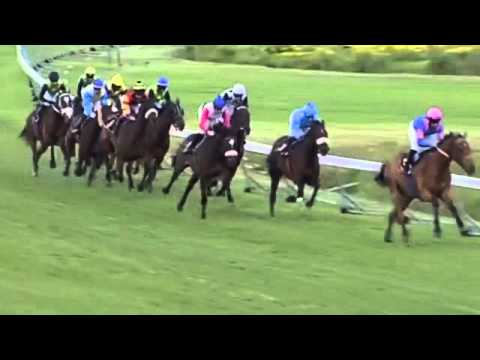 2015.11.21 Green Point Stakes (RSA) - Captain America