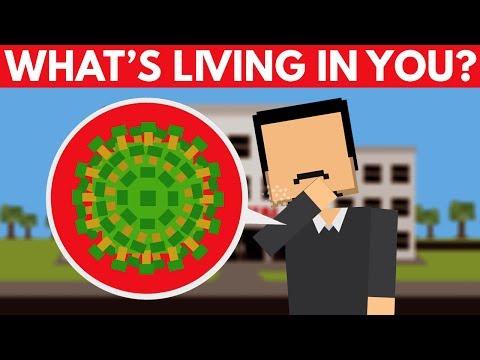 ウイルスはどのくらいの速さで拡散するのか？ (Just How Fast Does A Virus Spread?)