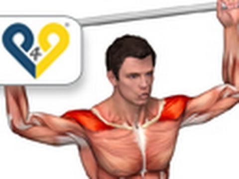 Crema di riscaldamento con osteocondrosi cervicale Articolazioni Trattamento di riposo