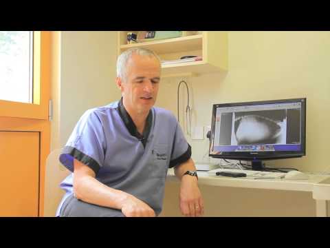 Pete The Vet- Why Do Dogs Chase Their Tails ?