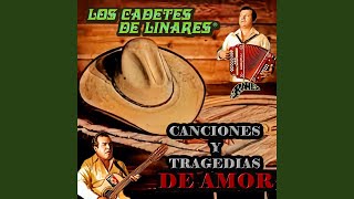 Adios Amigo Del Alma