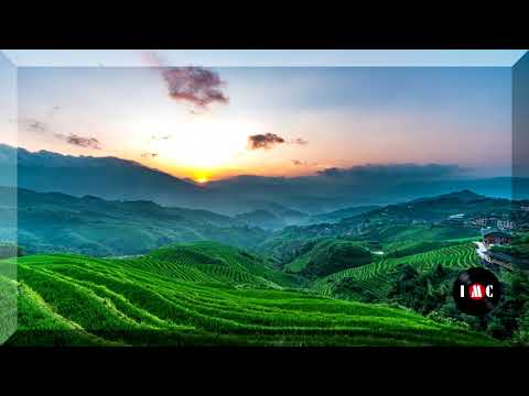 Flavor Of The Day Tribute Version Instrumental Version ~ Tommy Ljungberg