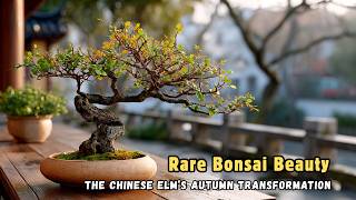 Download lagu Rare Bonsai Beauty | The Chinese Elm’s Autumn Transformation mp3