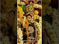 Murugan Whatsapp Status Video Song Enna Senjalum Eathu Senjalum Antha Sami Thunai Venum Song