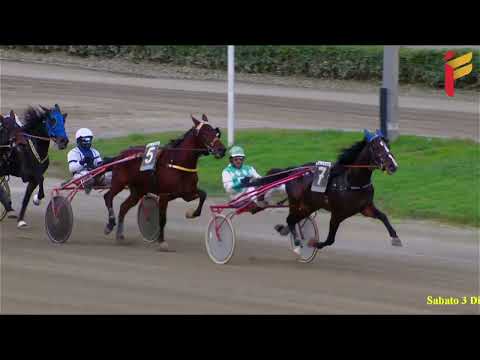 V corsa del 3 dicembre 2022 - 3 Anni - Metri 1600 - Gara centrale