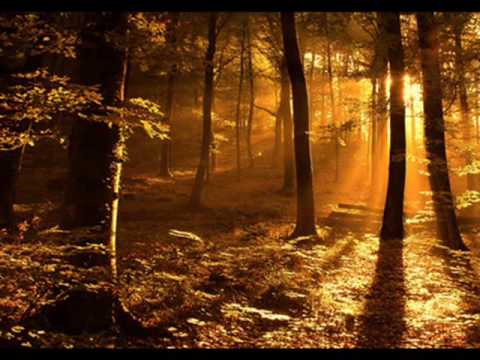 Mawla Ya Salli Wa Sallim~ Ahbab al Mustafa(arabic & english phrases)