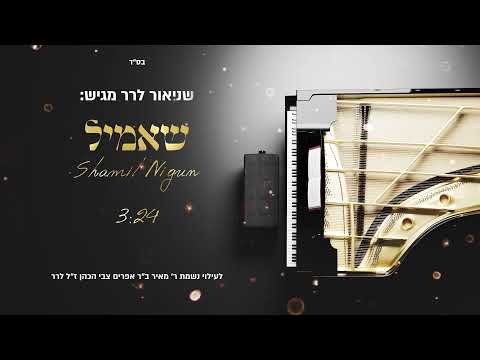שאמיל / Shamil Nigun / שניאור לרר - Shneor Lerer