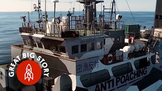 The Part-Time Heroes Protecting Our Oceans: A Great Big Film