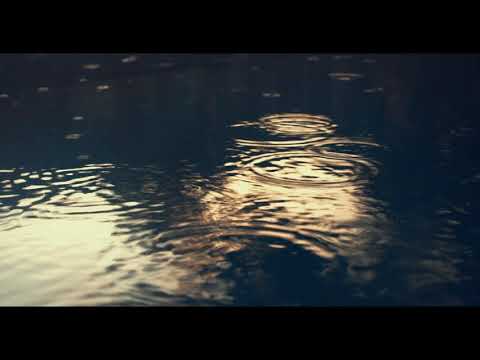 Szacharap  - Mokre swetry