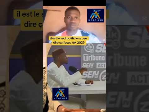 Sonko 2029